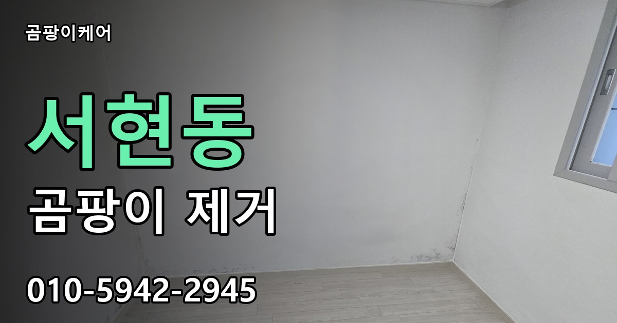 서현동 곰팡이 제거 - 곰팡이케어 실제 시공 현장