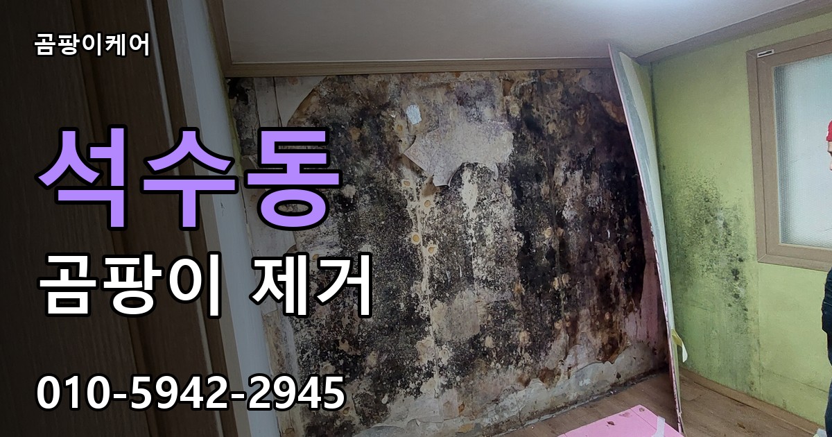 석수동 곰팡이 제거 - 곰팡이케어 실제 시공 현장