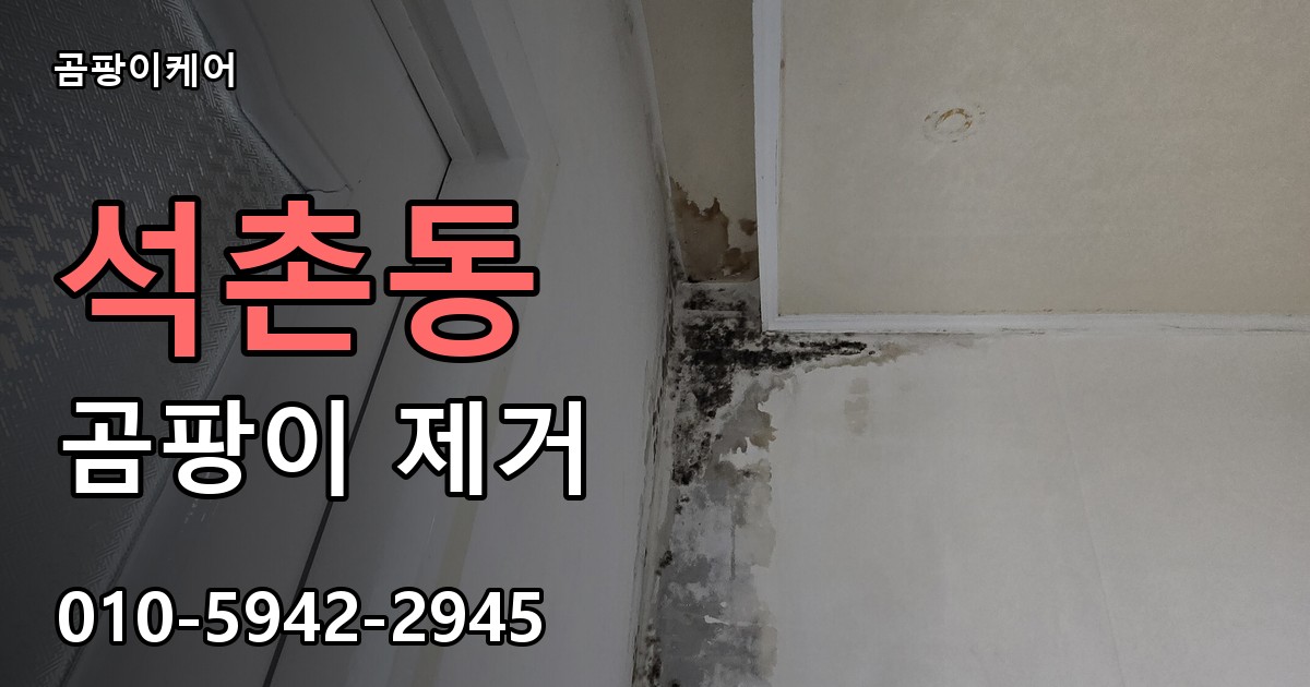 석촌동 곰팡이 제거 - 곰팡이케어 실제 시공 현장