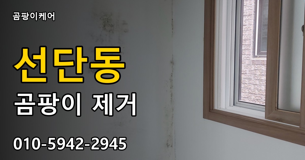 선단동 곰팡이 제거 - 곰팡이케어 실제 시공 현장
