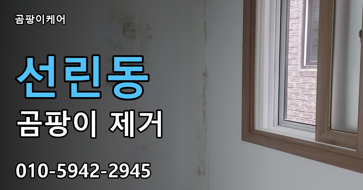 선린동 곰팡이 제거 - 곰팡이케어 실제 시공 현장