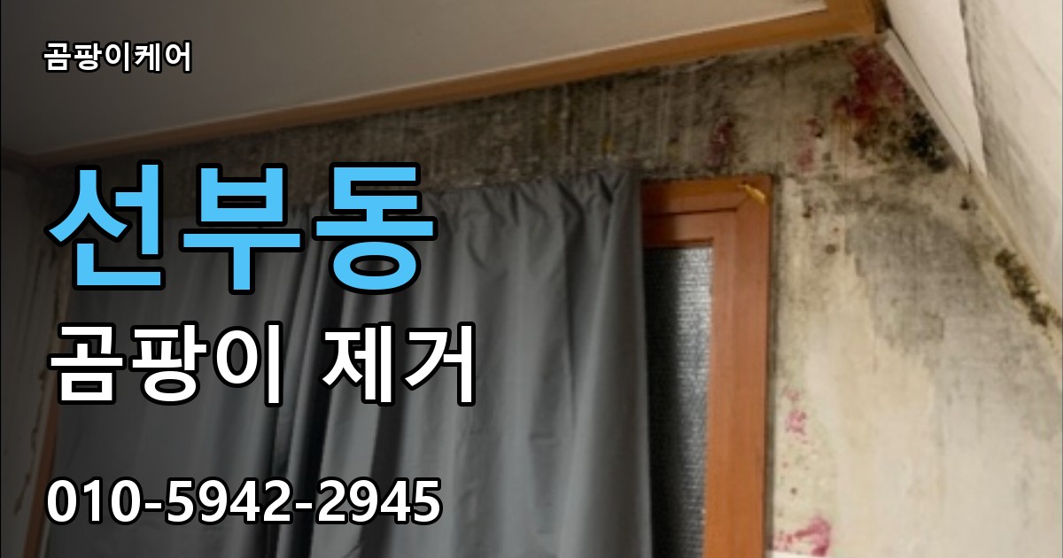 선부동 곰팡이 제거 - 곰팡이케어 실제 시공 현장