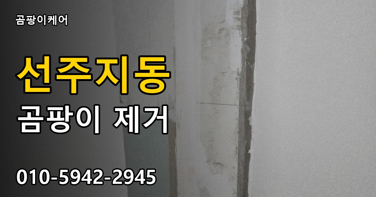 선주지동 곰팡이 제거 - 곰팡이케어 실제 시공 현장