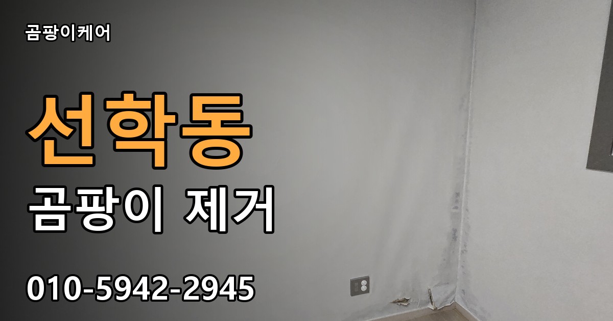 선학동 곰팡이 제거 - 곰팡이케어 실제 시공 현장