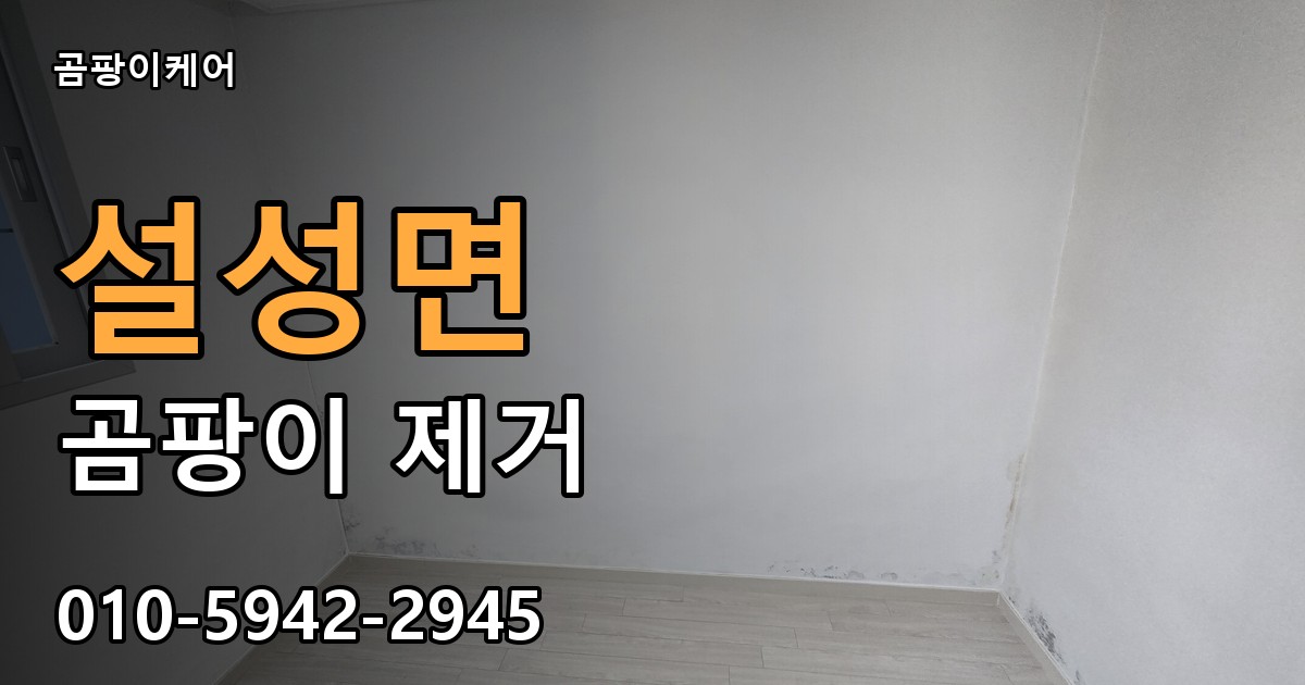 설성면 곰팡이 제거 - 곰팡이케어 실제 시공 현장