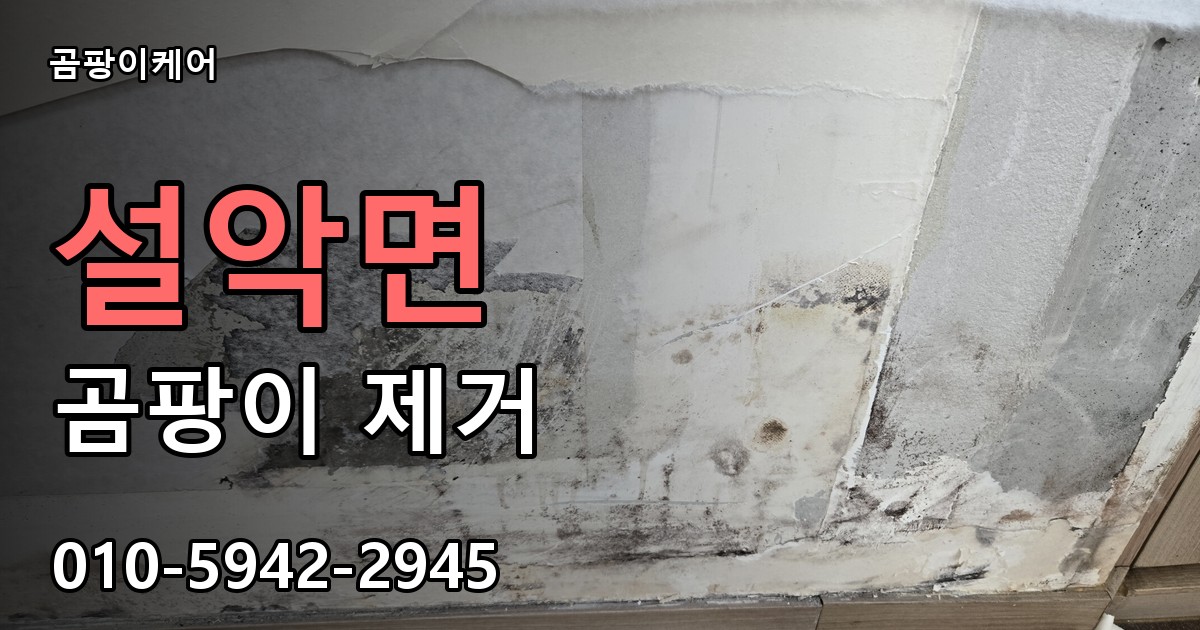 설악면 곰팡이 제거 - 곰팡이케어 실제 시공 현장