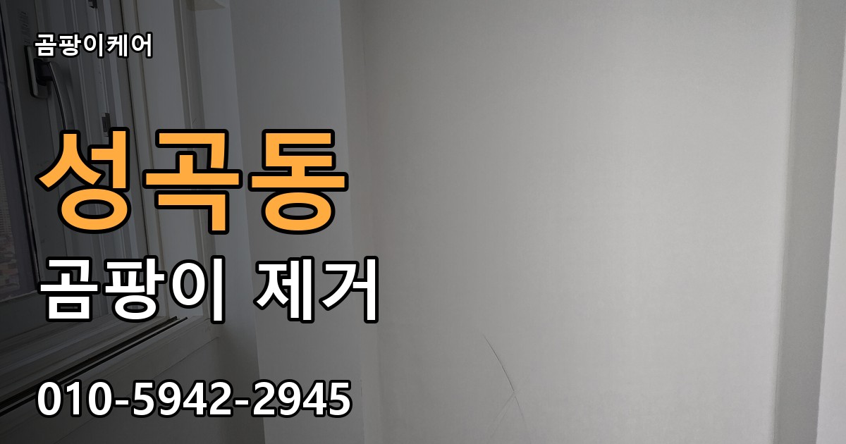 성곡동 곰팡이 제거 - 곰팡이케어 실제 시공 현장