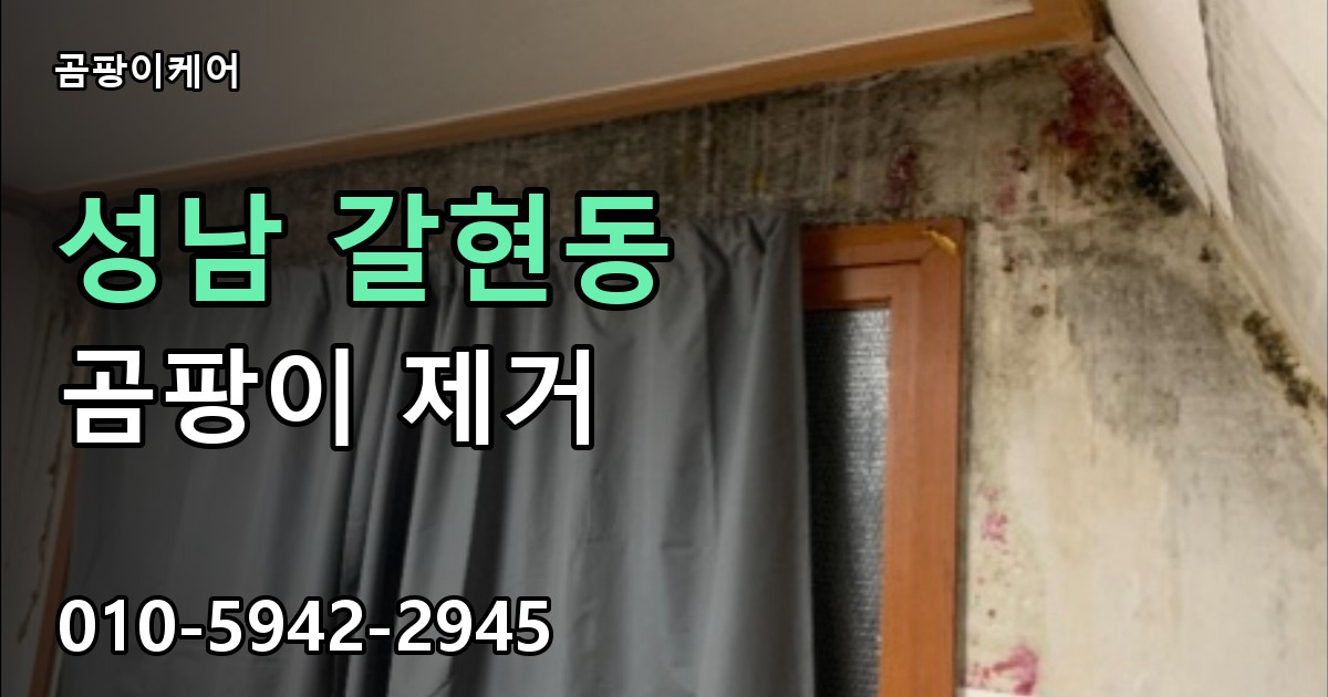 성남 갈현동 곰팡이 제거 - 곰팡이케어 실제 시공 현장