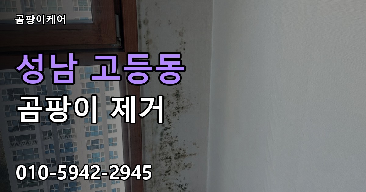 성남 고등동 곰팡이 제거 - 곰팡이케어 실제 시공 현장