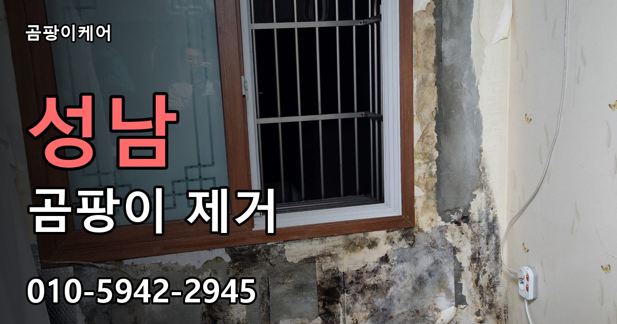 성남 곰팡이 제거 - 곰팡이케어 실제 시공 현장