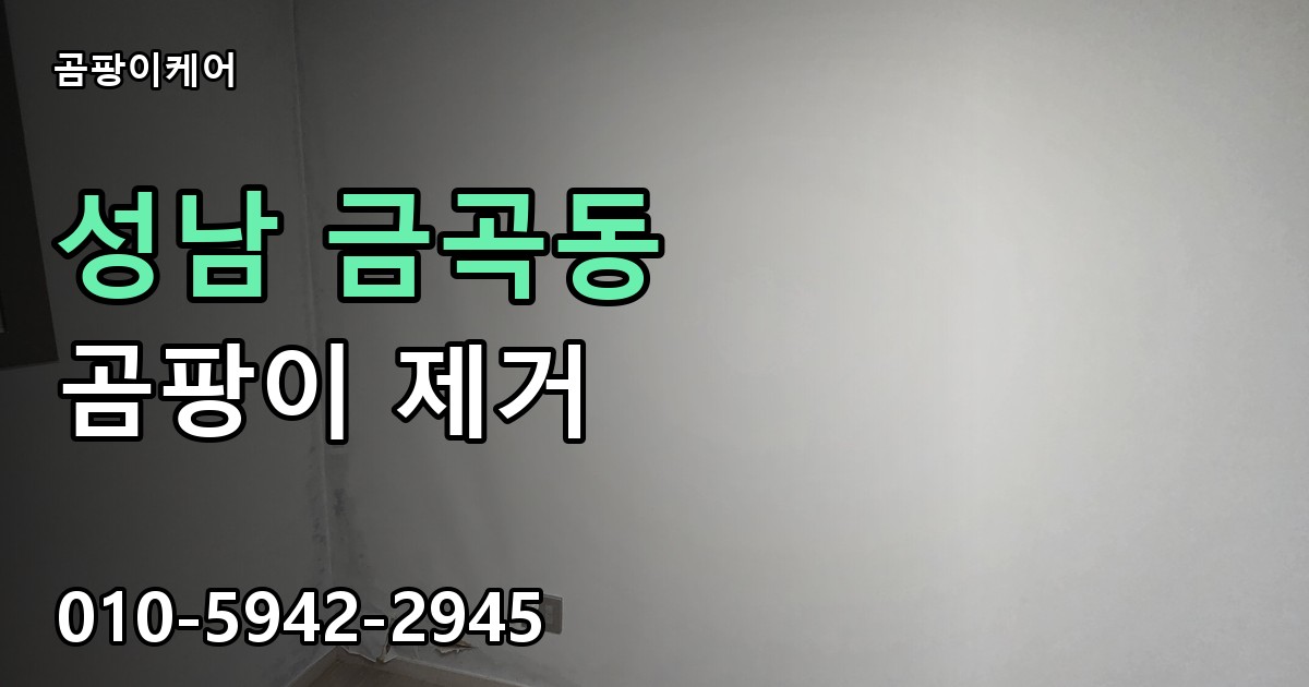 성남 금곡동 곰팡이 제거 - 곰팡이케어 실제 시공 현장