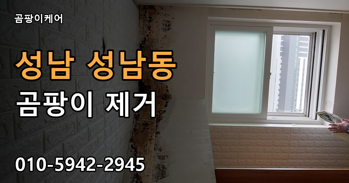성남 성남동 곰팡이 제거 - 곰팡이케어 실제 시공 현장