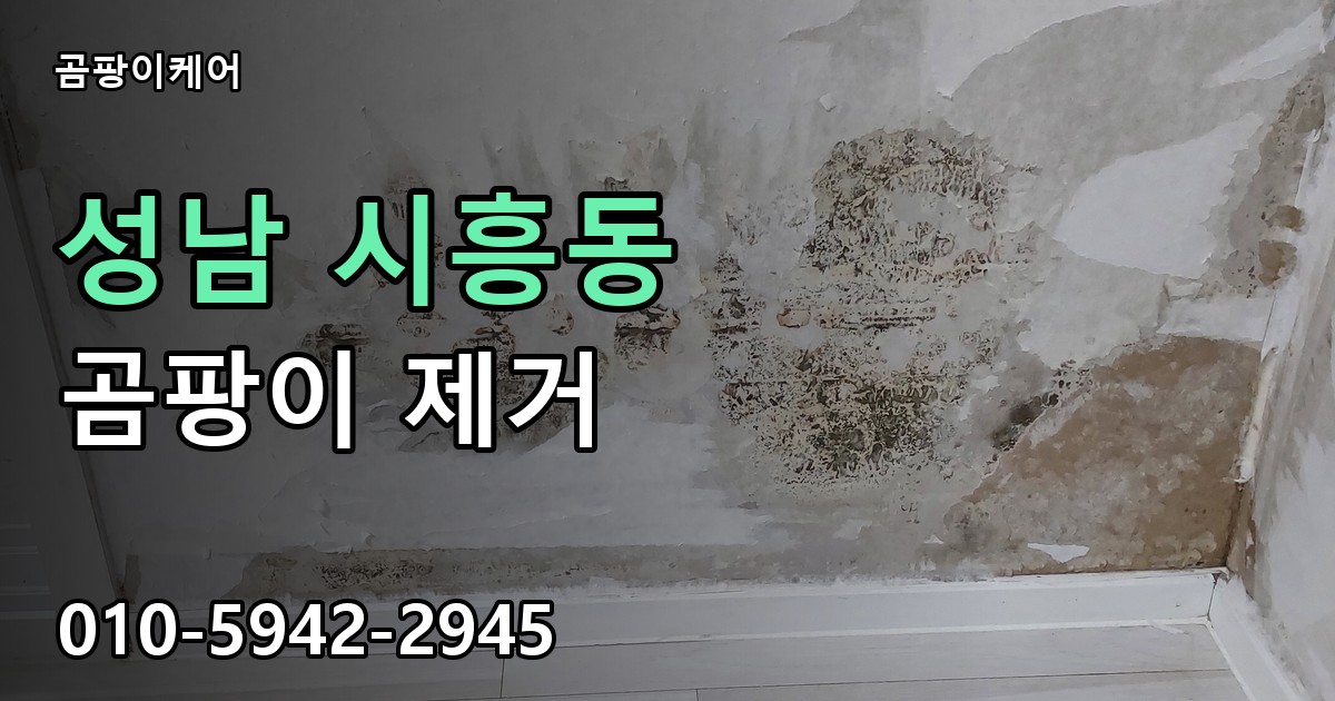 성남 시흥동 곰팡이 제거 - 곰팡이케어 실제 시공 현장