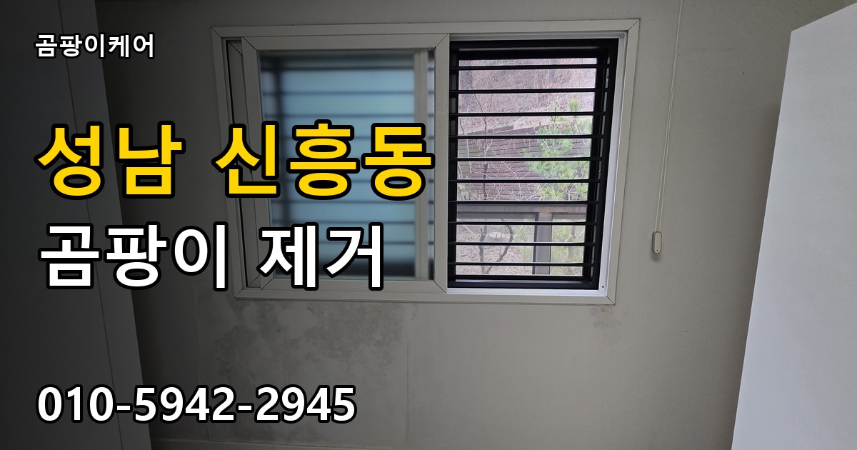 성남 신흥동 곰팡이 제거 - 곰팡이케어 실제 시공 현장