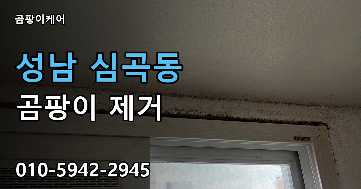성남 심곡동 곰팡이 제거 - 곰팡이케어 실제 시공 현장