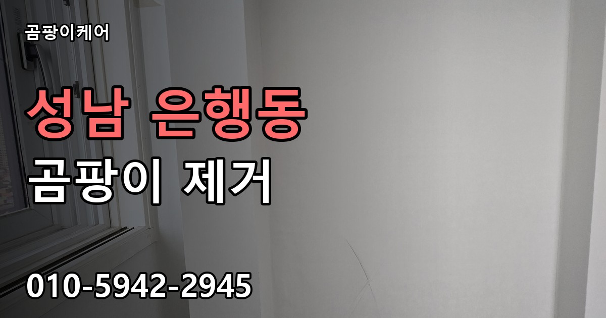 성남 은행동 곰팡이 제거 - 곰팡이케어 실제 시공 현장