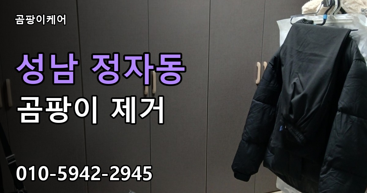 성남 정자동 곰팡이 제거 - 곰팡이케어 실제 시공 현장