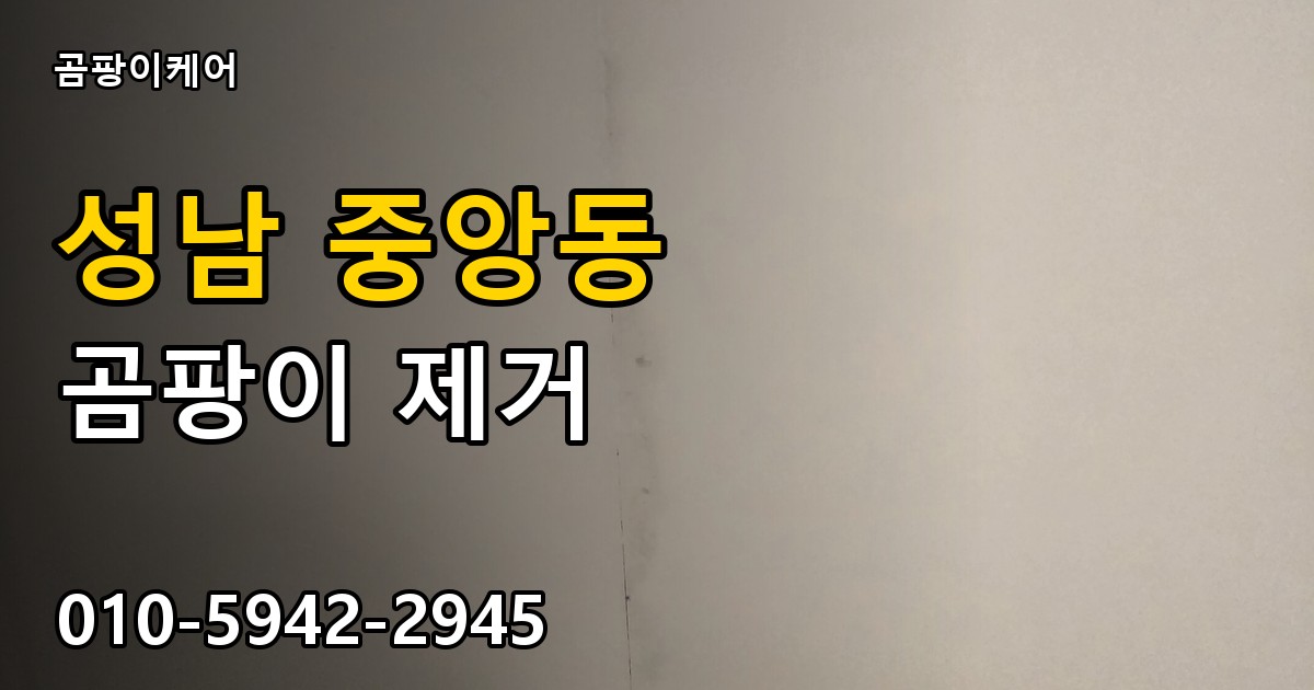 성남 중앙동 곰팡이 제거 - 곰팡이케어 실제 시공 현장
