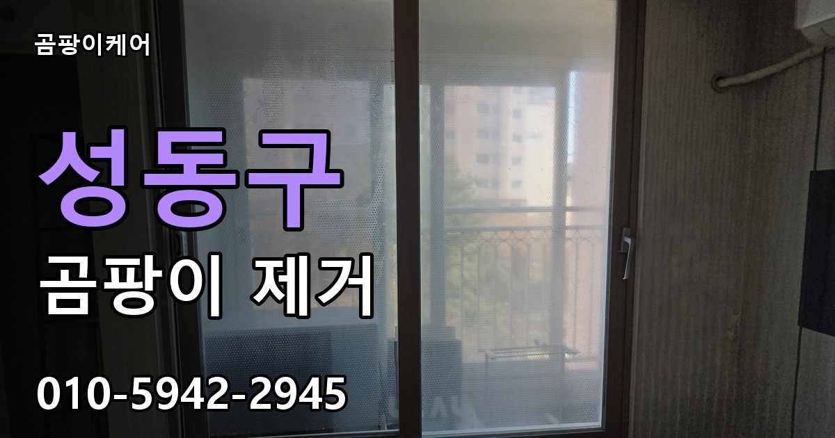 성동구 곰팡이 제거 - 곰팡이케어 실제 시공 현장