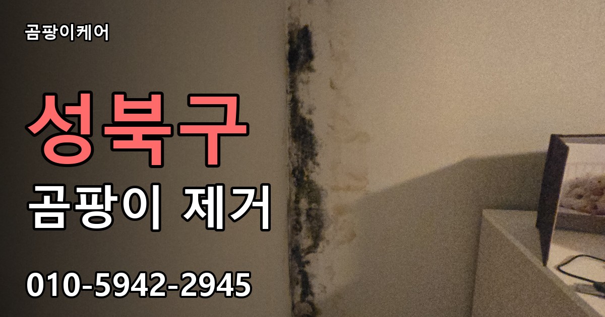 성북구 곰팡이 제거 - 곰팡이케어 실제 시공 현장