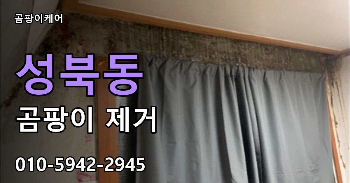 성북동 곰팡이 제거 - 곰팡이케어 실제 시공 현장