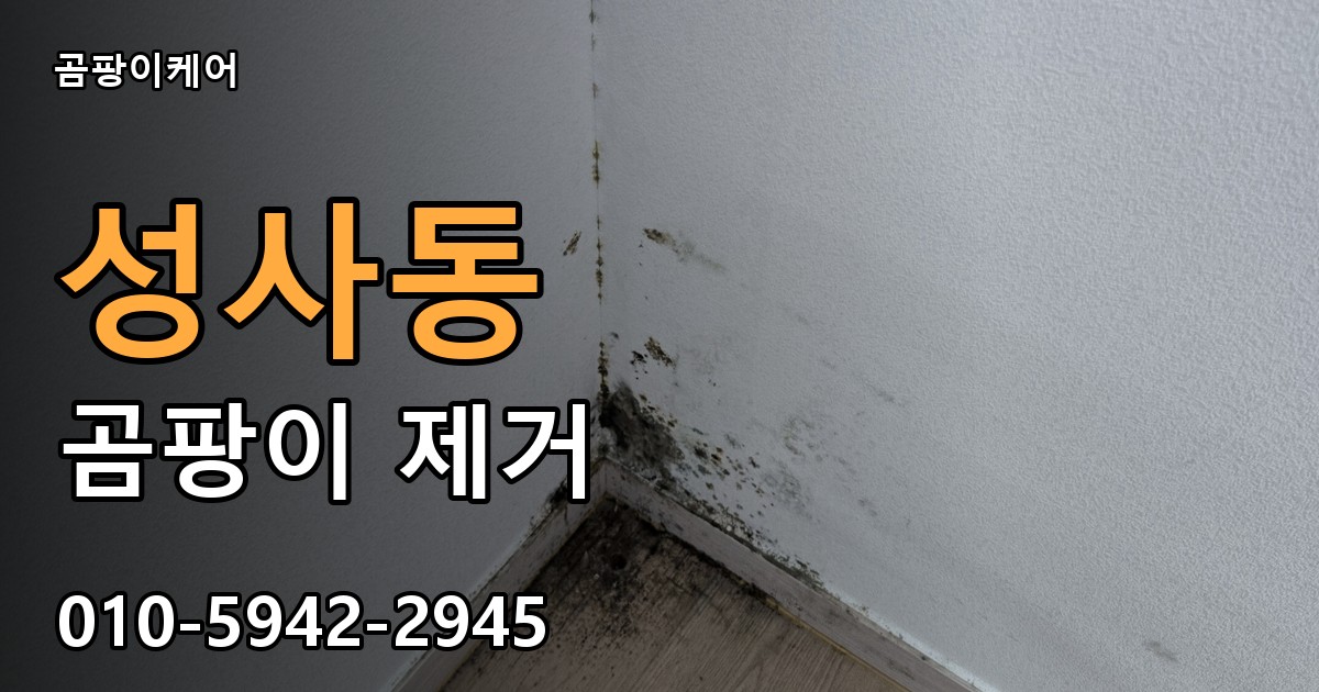 성사동 곰팡이 제거 - 곰팡이케어 실제 시공 현장