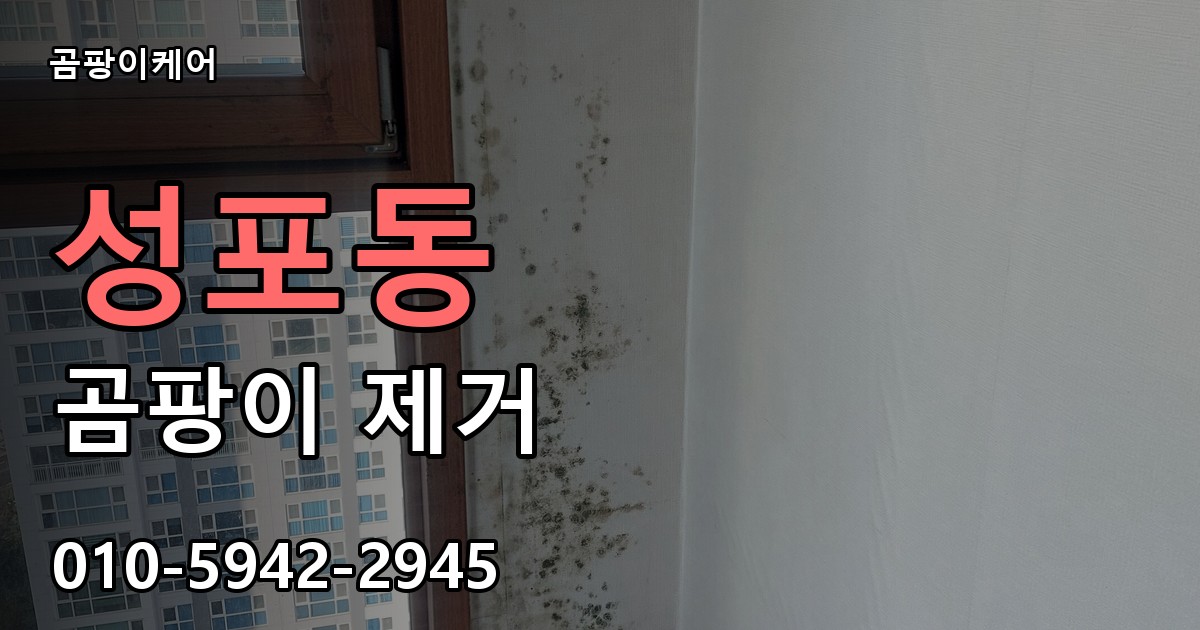 성포동 곰팡이 제거 - 곰팡이케어 실제 시공 현장