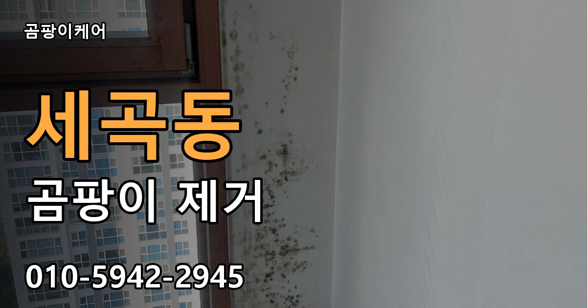 세곡동 곰팡이 제거 - 곰팡이케어 실제 시공 현장