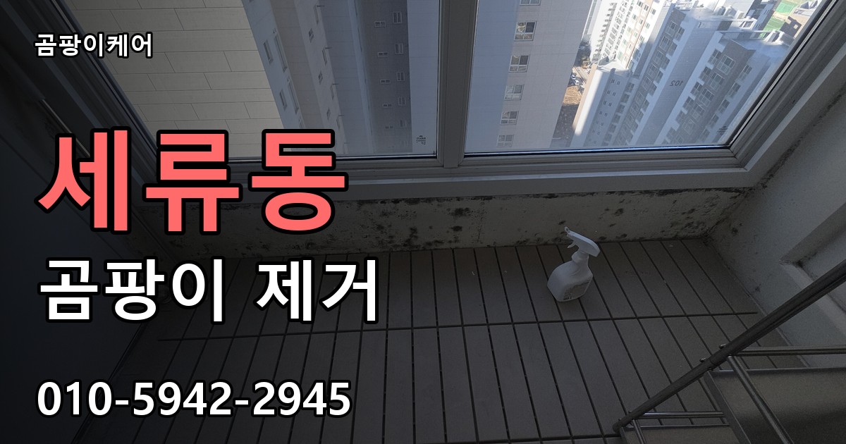 세류동 곰팡이 제거 - 곰팡이케어 실제 시공 현장