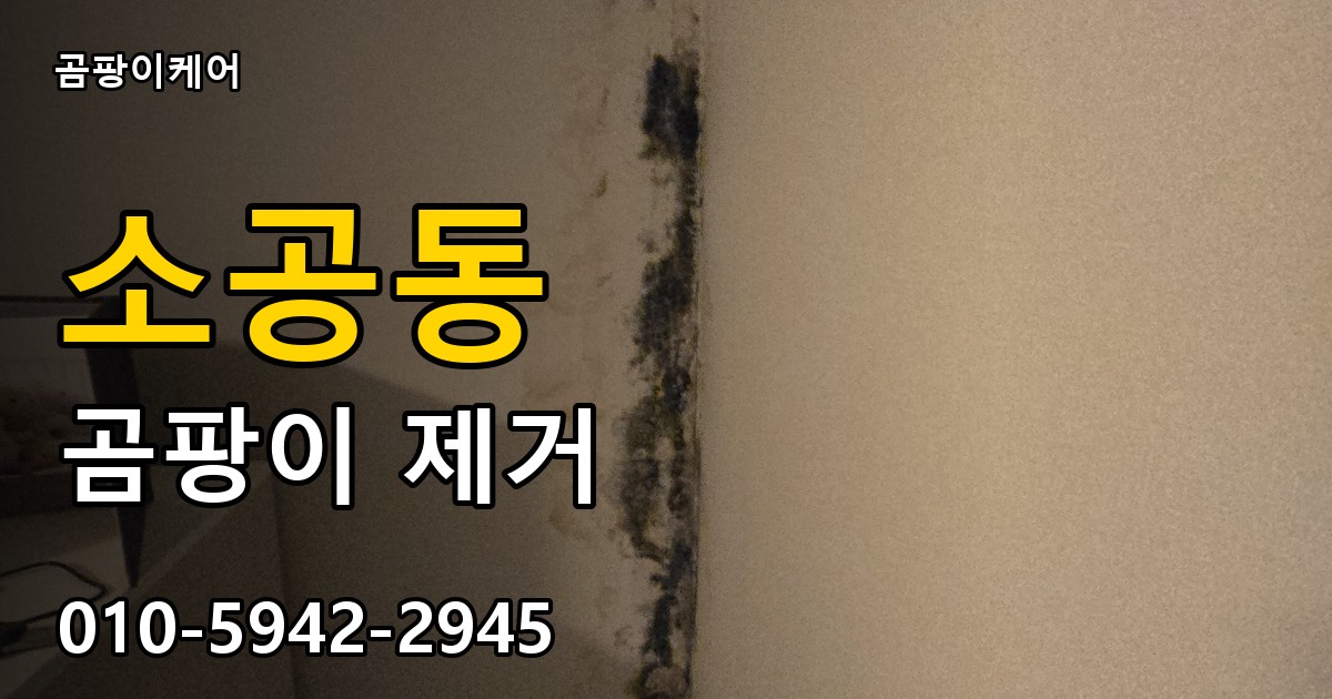 소공동 곰팡이 제거 - 곰팡이케어 실제 시공 현장