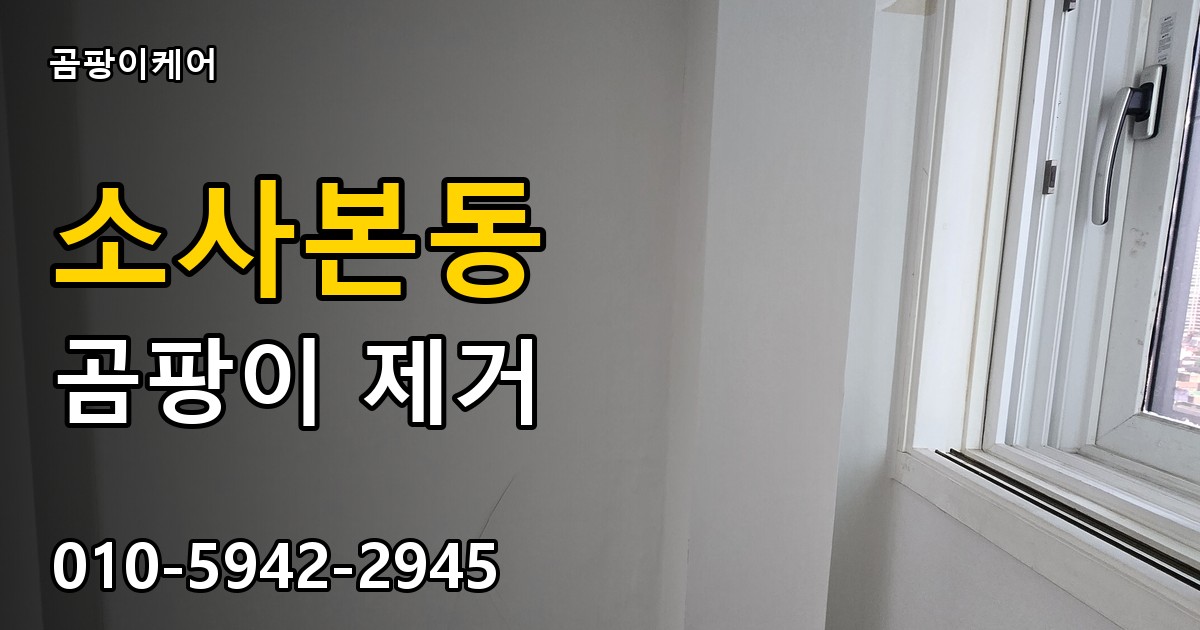 소사본동 곰팡이 제거 - 곰팡이케어 실제 시공 현장
