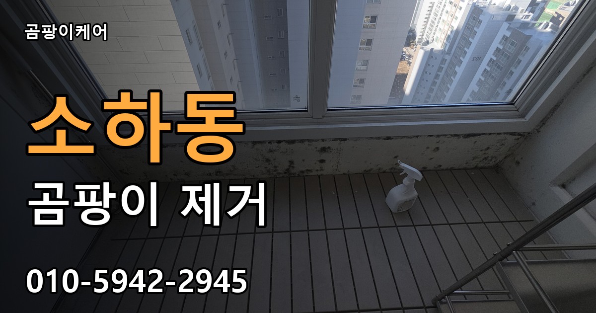소하동 곰팡이 제거 - 곰팡이케어 실제 시공 현장