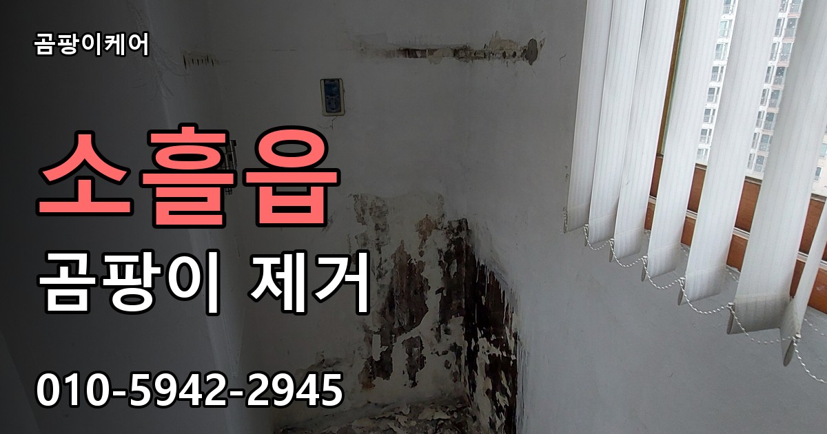 소흘읍 곰팡이 제거 - 곰팡이케어 실제 시공 현장