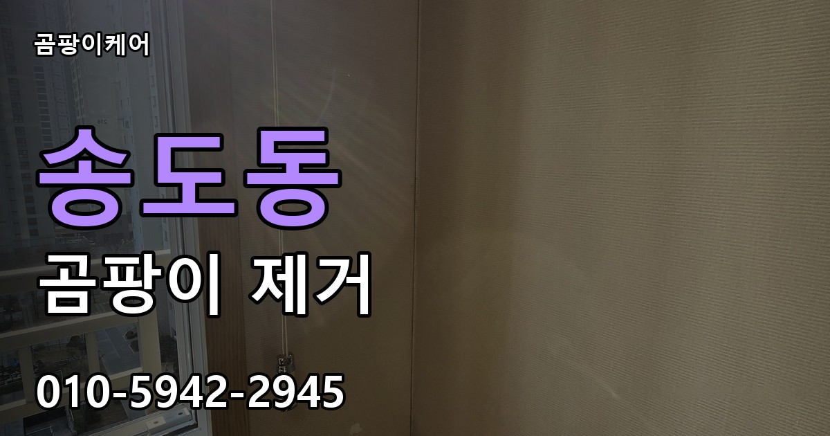 송도동 곰팡이 제거 - 곰팡이케어 실제 시공 현장