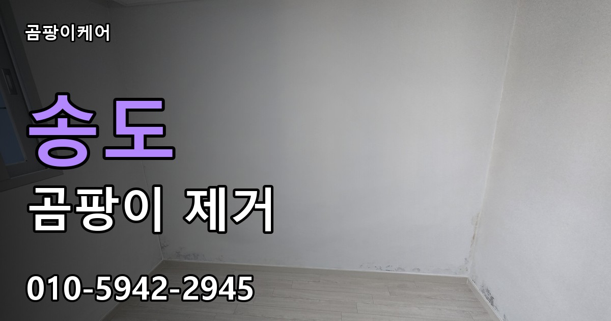 송도 곰팡이 제거 - 곰팡이케어 실제 시공 현장