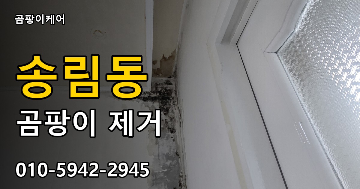 송림동 곰팡이 제거 - 곰팡이케어 실제 시공 현장