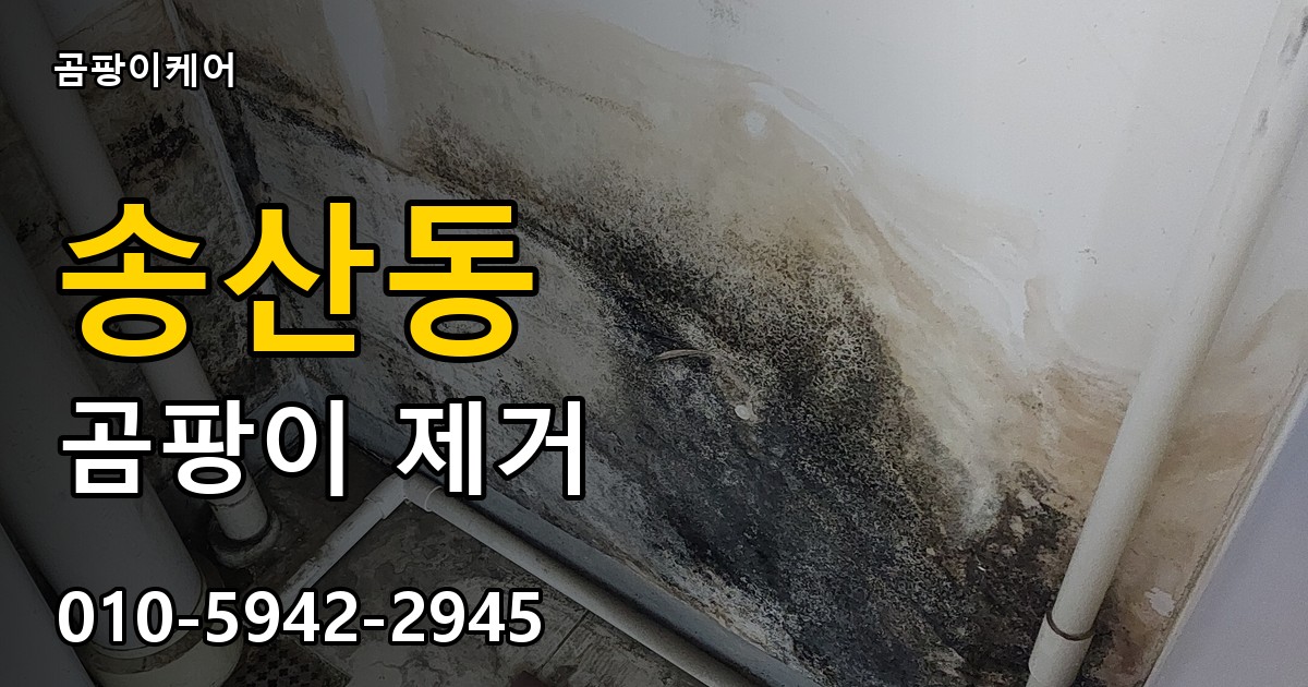송산동 곰팡이 제거 - 곰팡이케어 실제 시공 현장