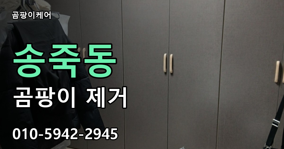 송죽동 곰팡이 제거 - 곰팡이케어 실제 시공 현장