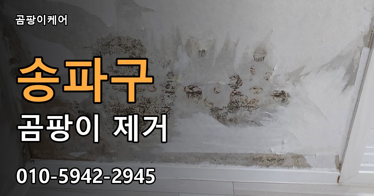 송파구 곰팡이 제거 - 곰팡이케어 실제 시공 현장