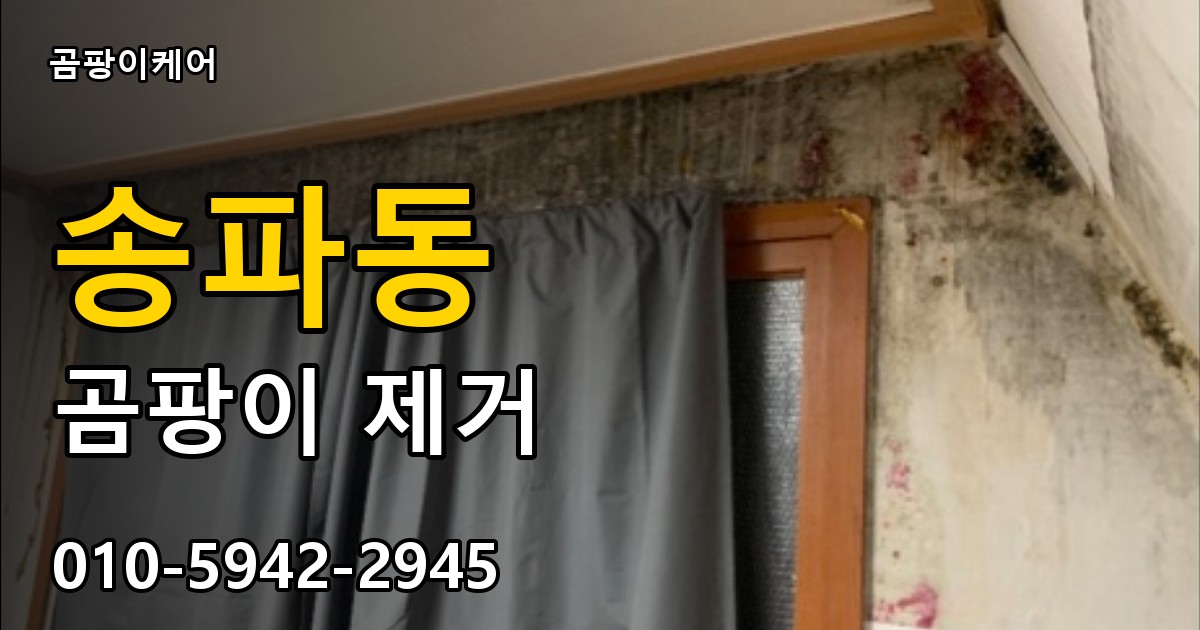 송파동 곰팡이 제거 - 곰팡이케어 실제 시공 현장