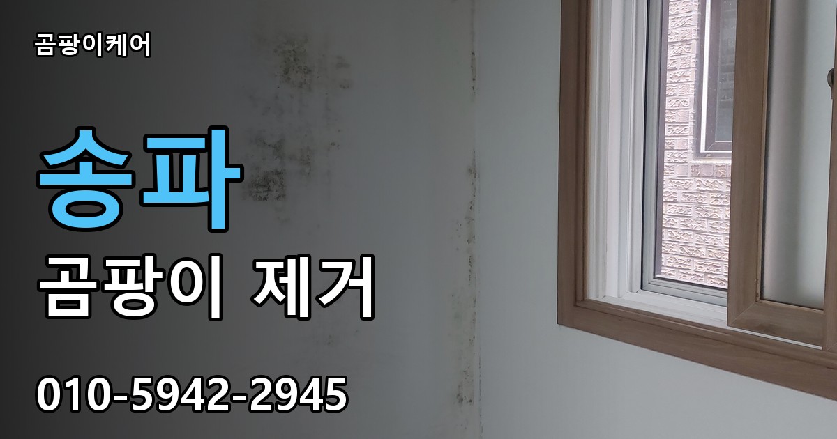 송파 곰팡이 제거 - 곰팡이케어 실제 시공 현장