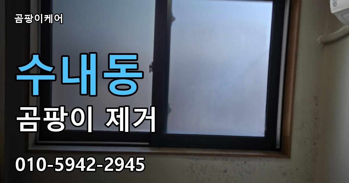 수내동 곰팡이 제거 - 곰팡이케어 실제 시공 현장