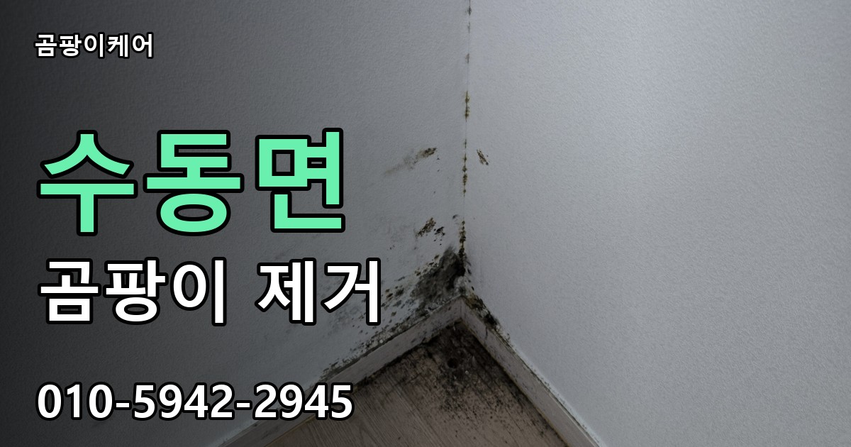 수동면 곰팡이 제거 - 곰팡이케어 실제 시공 현장