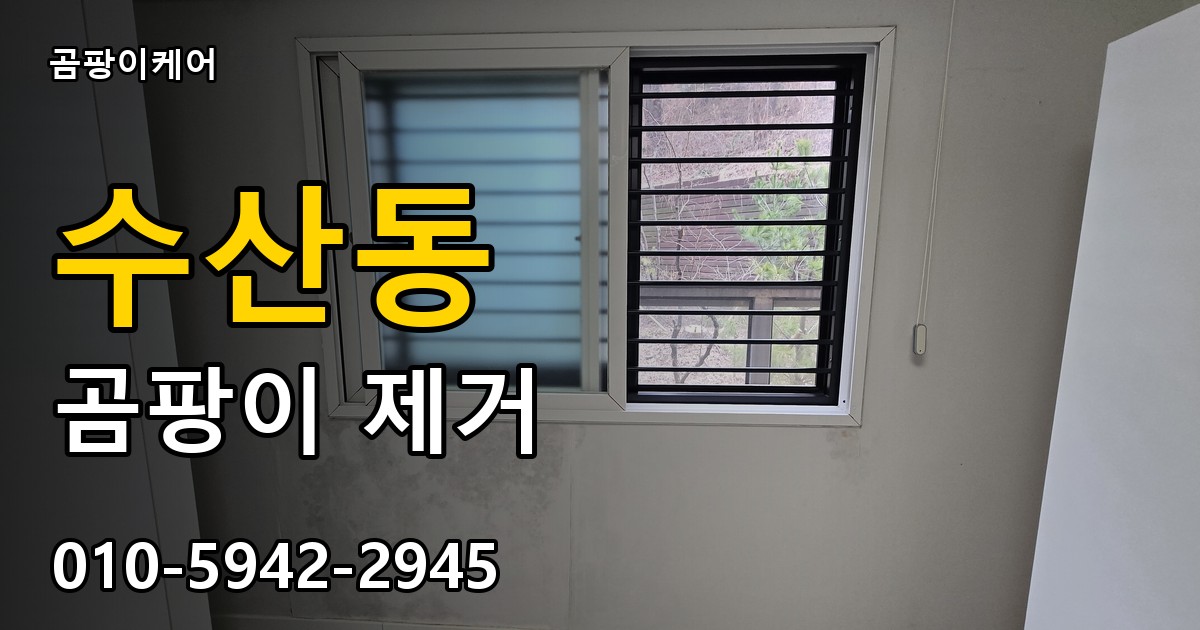 수산동 곰팡이 제거 - 곰팡이케어 실제 시공 현장