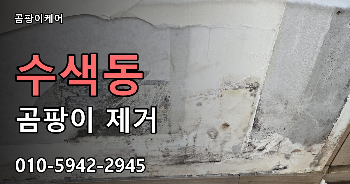 수색동 곰팡이 제거 - 곰팡이케어 실제 시공 현장