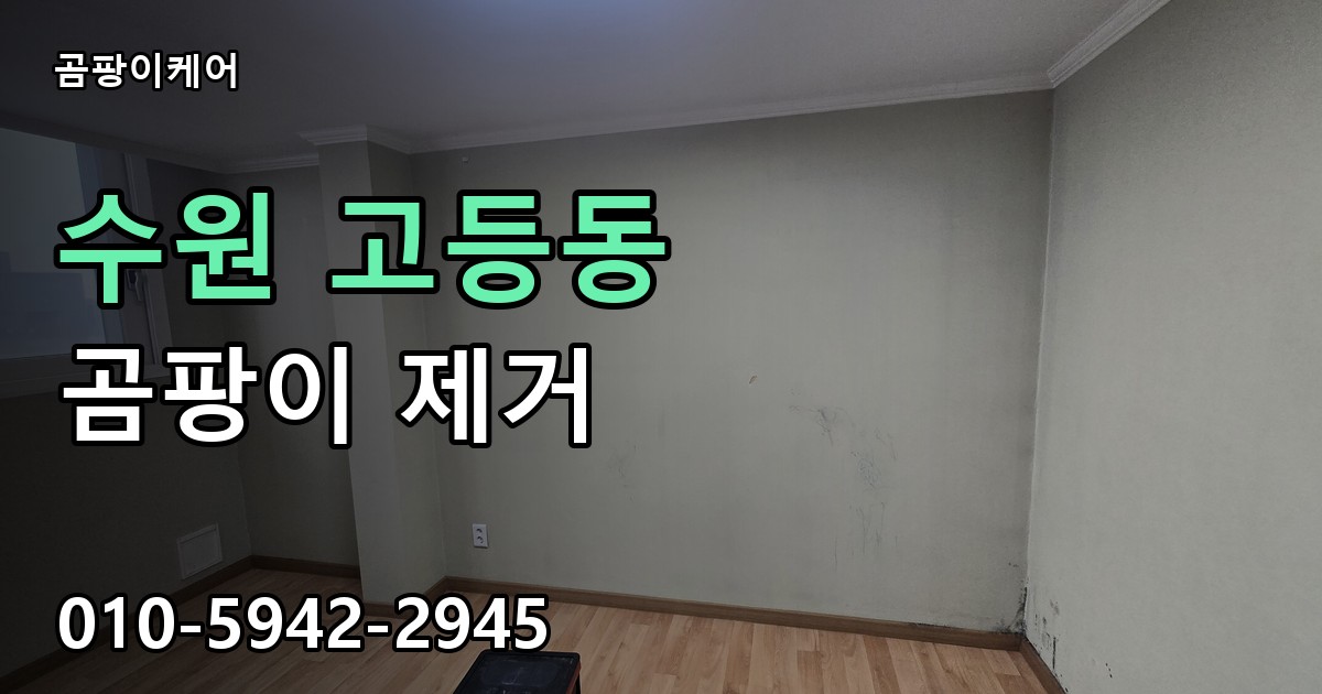 수원 고등동 곰팡이 제거 - 곰팡이케어 실제 시공 현장