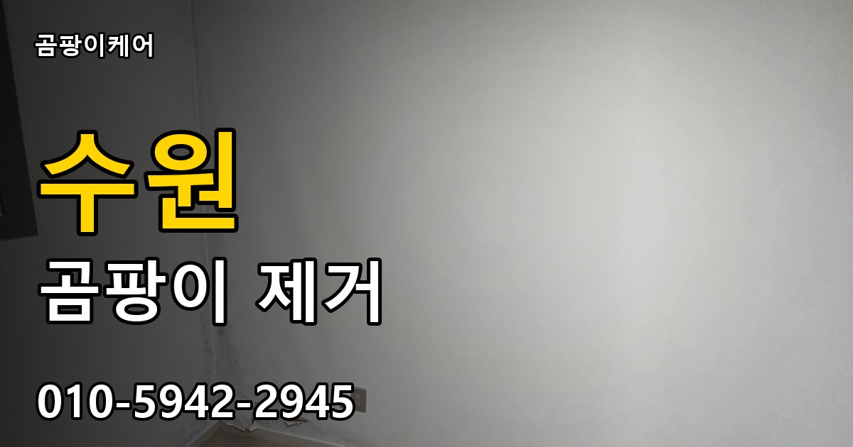 수원 곰팡이 제거 - 곰팡이케어 실제 시공 현장