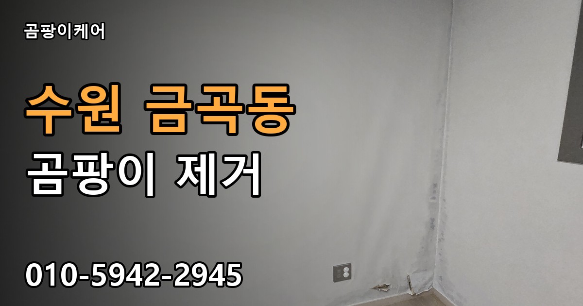 수원 금곡동 곰팡이 제거 - 곰팡이케어 실제 시공 현장