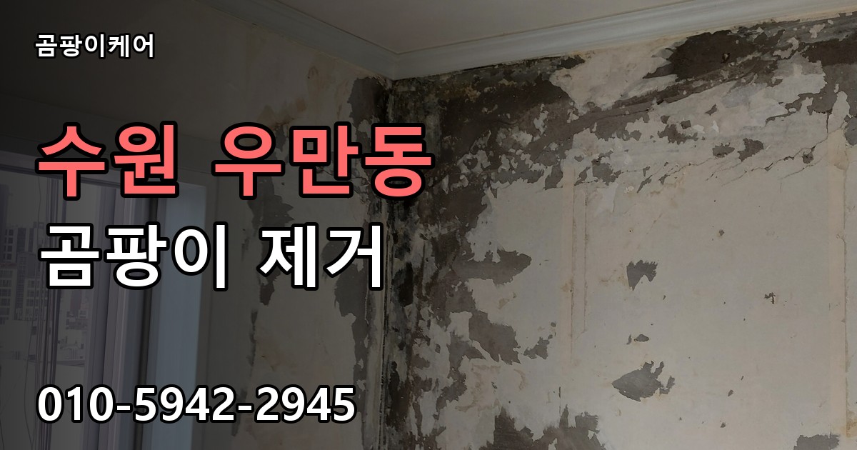 수원 우만동 곰팡이 제거 - 곰팡이케어 실제 시공 현장