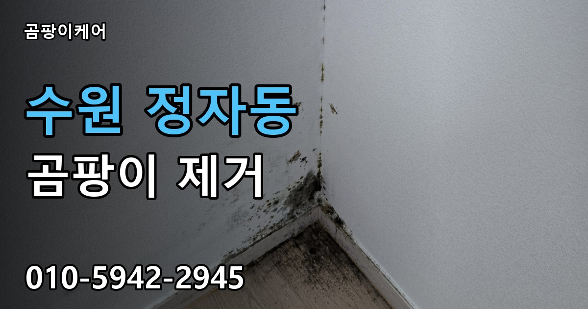 수원 정자동 곰팡이 제거 - 곰팡이케어 실제 시공 현장